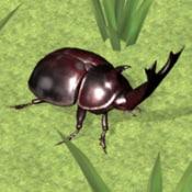 昆虫战斗模拟器Bug Battle Simulator