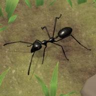 蚂蚁帝国模拟器Ant Empire Simulator