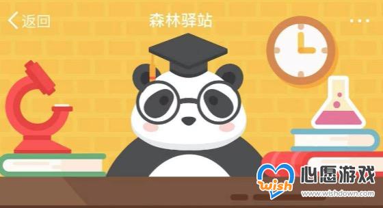 微博森林驿站1月31日每日一题_wishdown.com