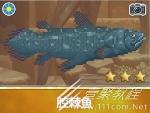 潜水员戴夫3星腔棘鱼捕捉攻略_wishdown.com