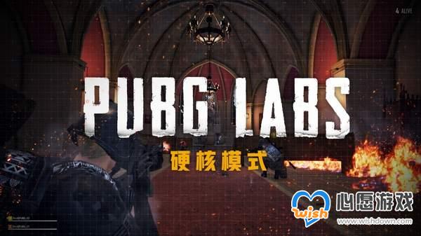 《PUBG》实验室推出“硬核模式” 罗盘、准星全移除_wishdown.com