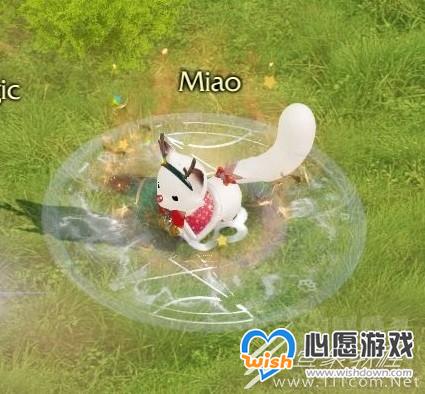 命运方舟新手常见误区介绍_wishdown.com