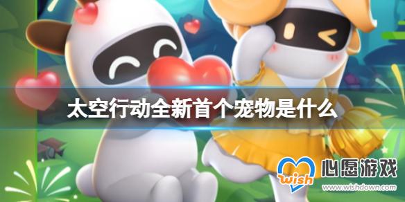 太空行动全新首个宠物是什么 全新宠物介绍_wishdown.com