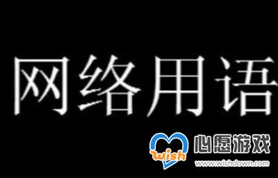 《抖音》8-1网络用语意思一览_wishdown.com