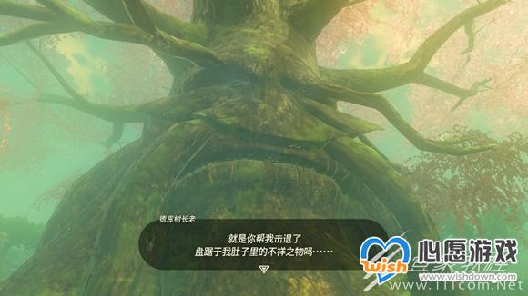 塞尔达传说王国之泪德库树长老位置介绍_wishdown.com