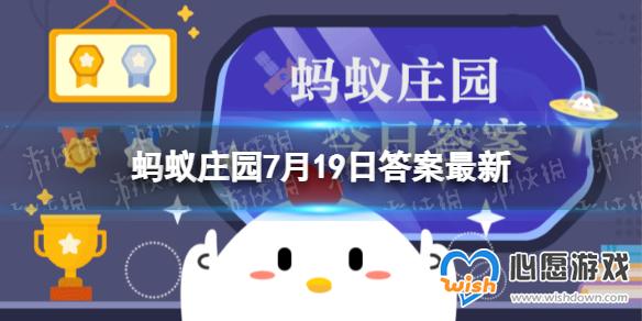 小鸡宝宝考考你植发所用的毛发通常是自己的还是别人的_wishdown.com