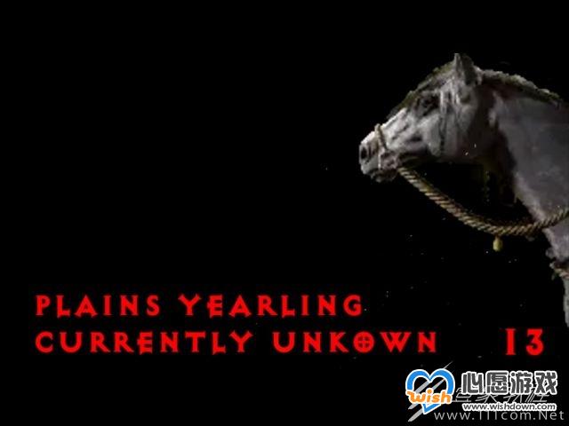 暗黑破坏神4坐骑怎么获取_wishdown.com