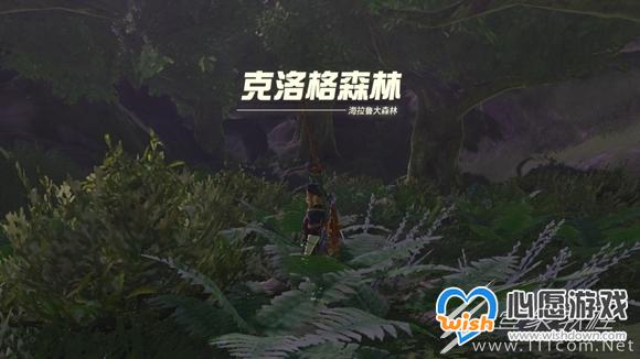 塞尔达传说王国之泪德库树长老位置介绍_wishdown.com