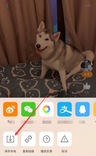 微博视频怎么保存到本地