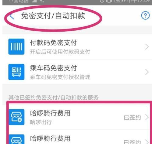 支付宝怎么关闭免密支付