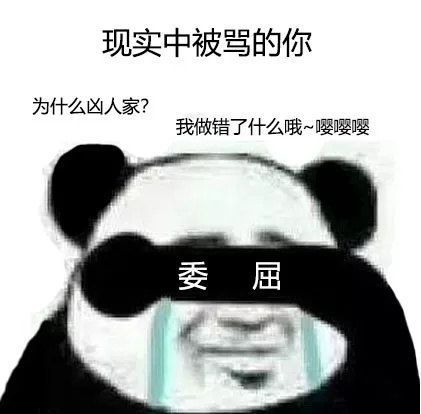 鸣枪警告是什么梗