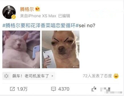 有求必应腾格尔是什么梗