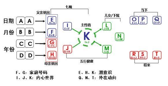 抖音生命数字是什么梗