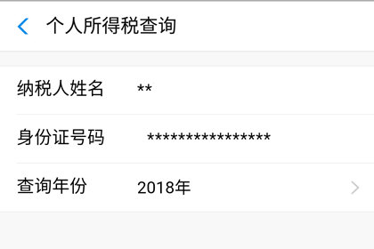 支付宝如何查看个人所得税